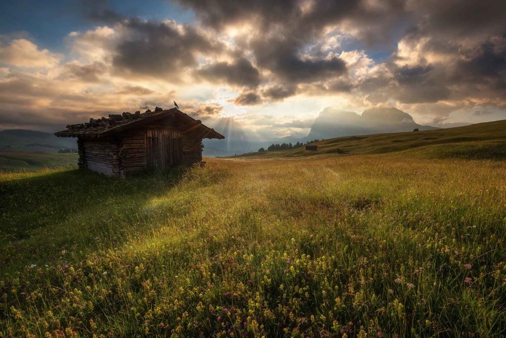 Berghütte auf einer Blumenwiese bei Sonnenuntergang