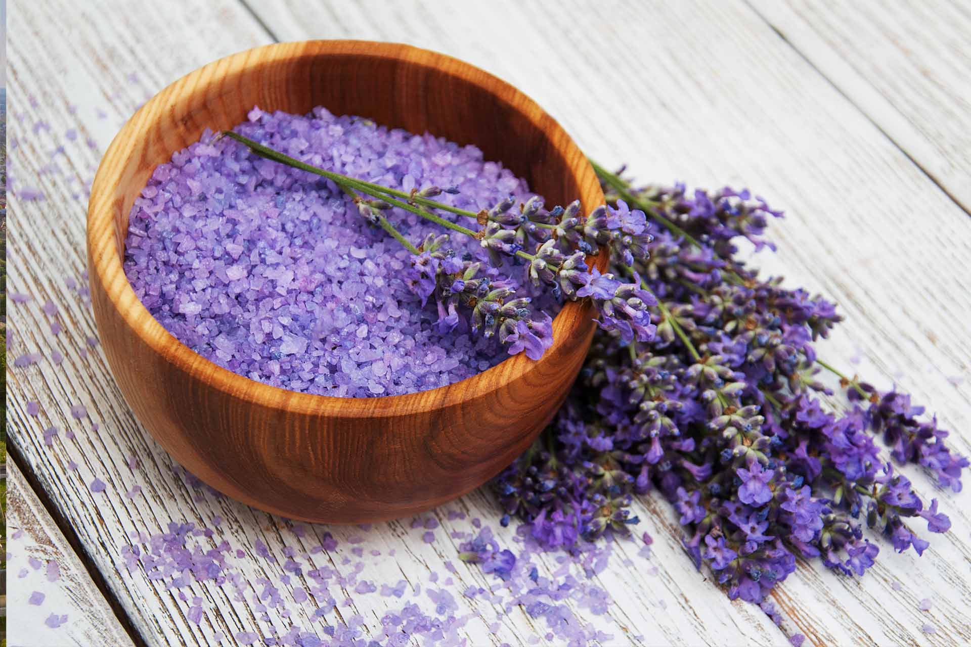 Foto of some purple flowers in a bowl